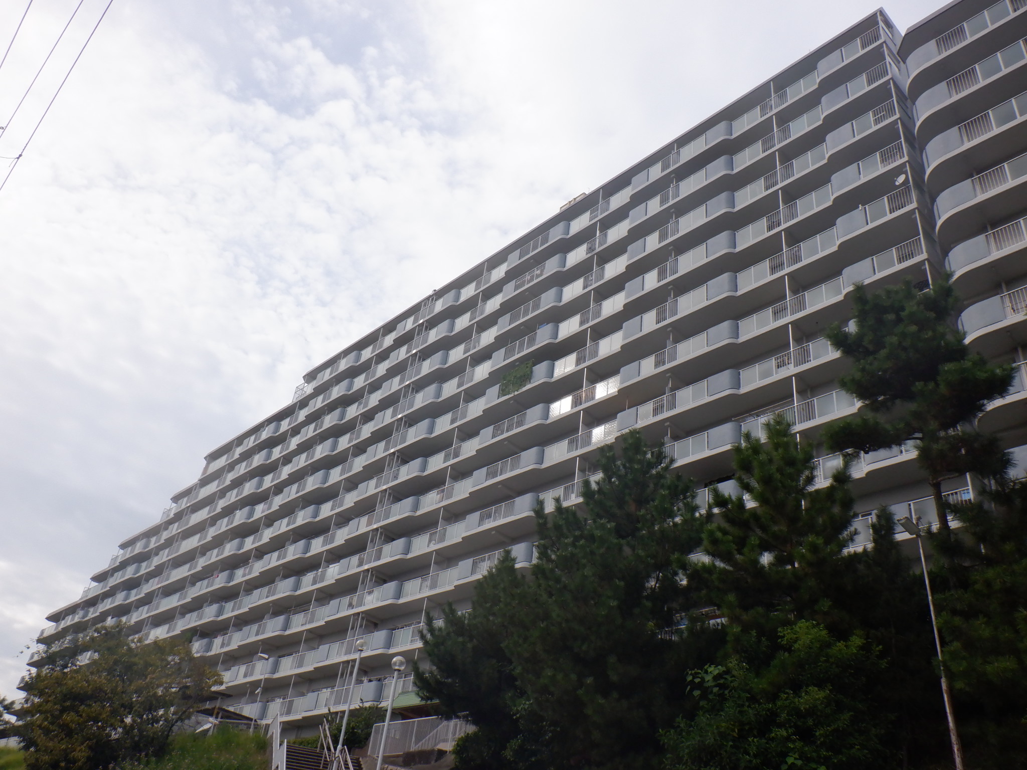 堺市